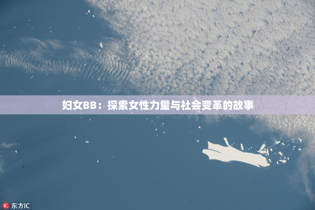 妇女BB：探索女性力量与社会变革的故事