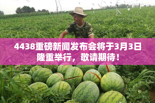 4438重磅新闻发布会将于3月3日隆重举行，敬请期待！