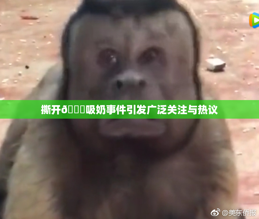 撕开👙吸奶事件引发广泛关注与热议