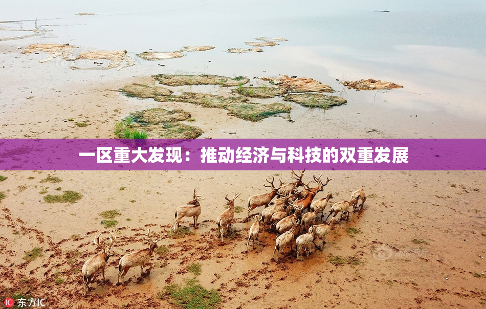 一区重大发现：推动经济与科技的双重发展