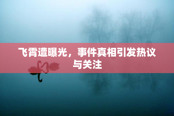 飞霄遭曝光，事件真相引发热议与关注