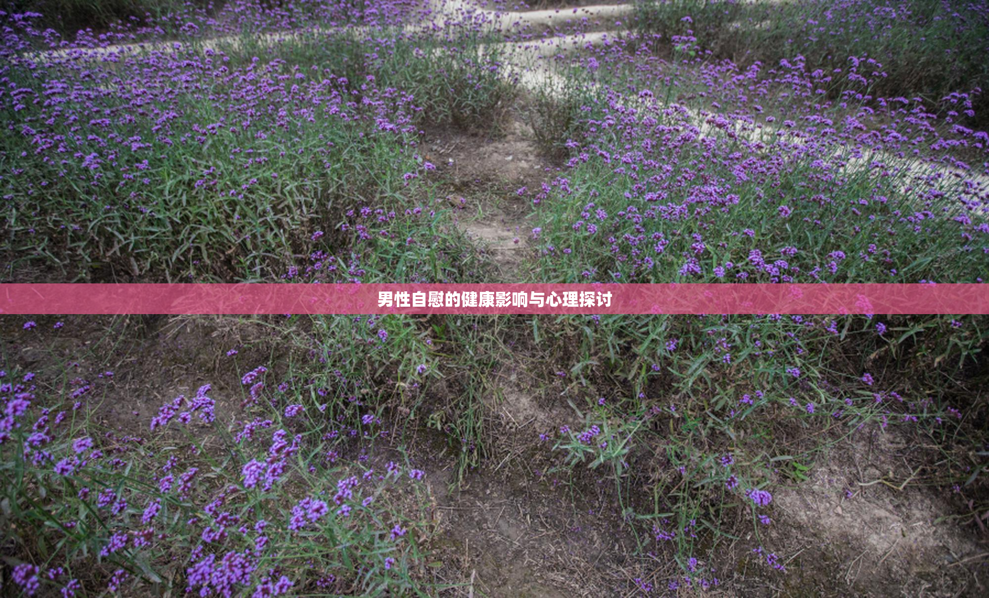 男性自慰的健康影响与心理探讨