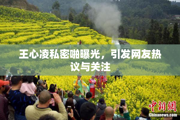 王心凌私密啪曝光，引发网友热议与关注