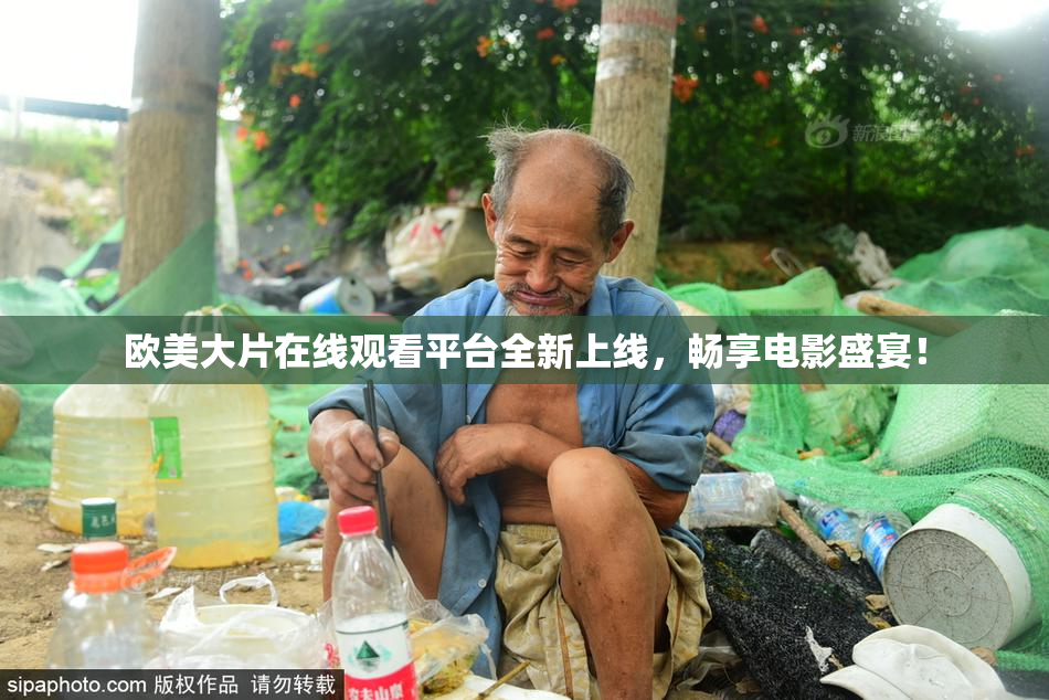 欧美大片在线观看平台全新上线，畅享电影盛宴！