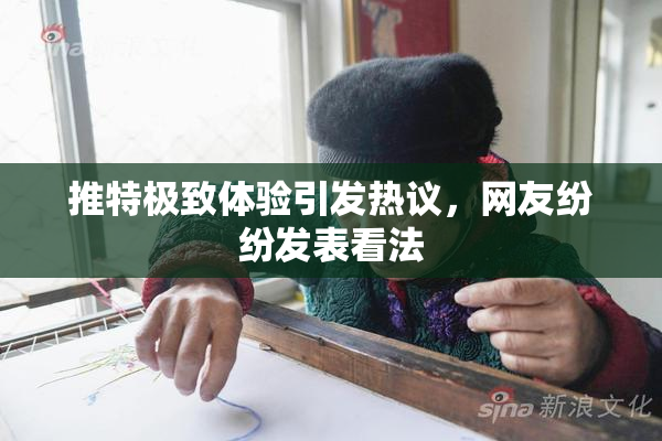 推特极致体验引发热议，网友纷纷发表看法