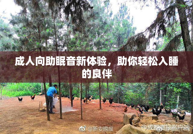 成人向助眠音新体验，助你轻松入睡的良伴