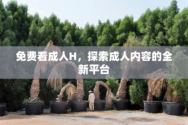 免费看成人H，探索成人内容的全新平台