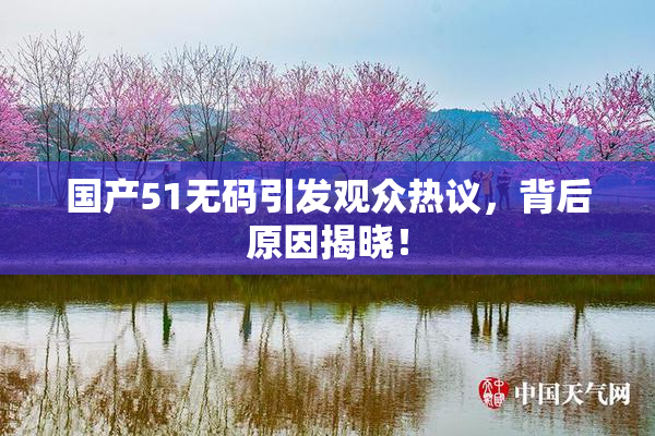 国产51无码引发观众热议，背后原因揭晓！