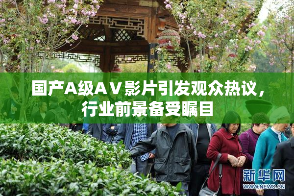 国产A级AⅤ影片引发观众热议，行业前景备受瞩目
