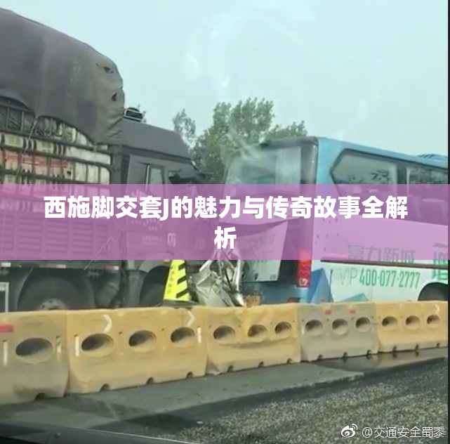 西施脚交套J的魅力与传奇故事全解析