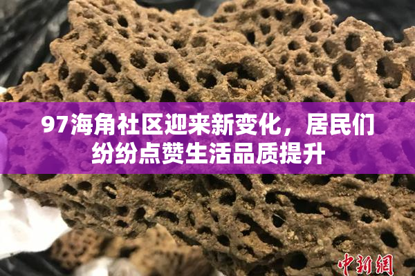 97海角社区迎来新变化，居民们纷纷点赞生活品质提升