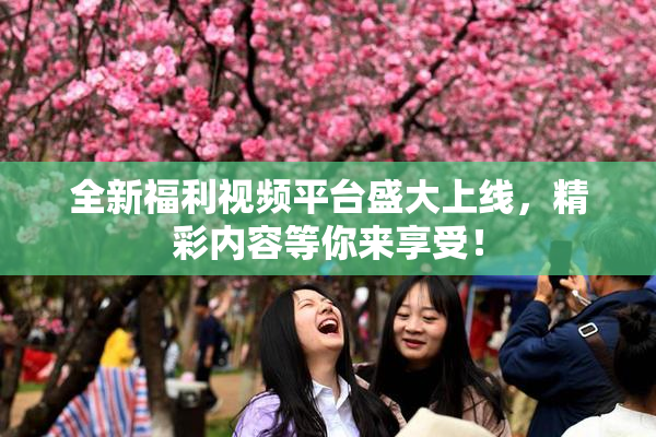 全新福利视频平台盛大上线，精彩内容等你来享受！