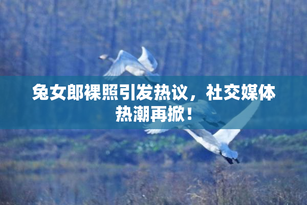 兔女郎裸照引发热议，社交媒体热潮再掀！