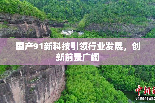 国产91新科技引领行业发展，创新前景广阔