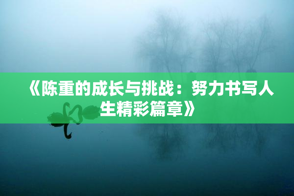 《陈重的成长与挑战：努力书写人生精彩篇章》