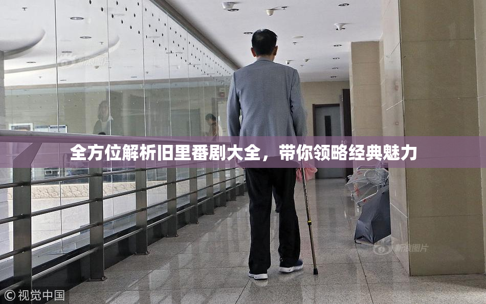 全方位解析旧里番剧大全，带你领略经典魅力