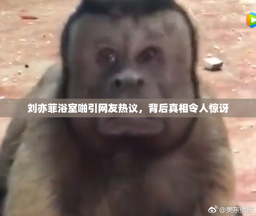 刘亦菲浴室啪引网友热议，背后真相令人惊讶
