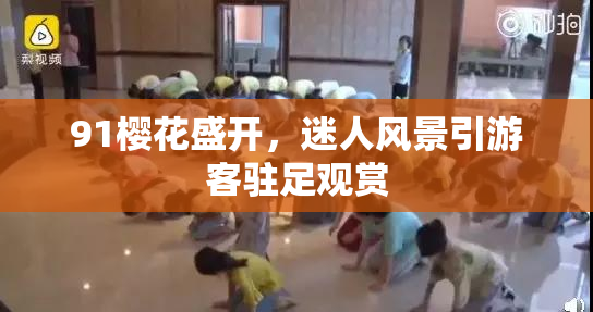 91樱花盛开，迷人风景引游客驻足观赏