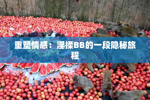 重塑情感：淫揉BB的一段隐秘旅程