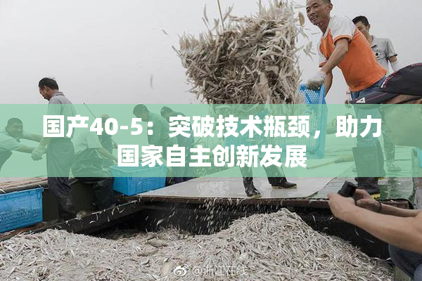 国产40-5：突破技术瓶颈，助力国家自主创新发展