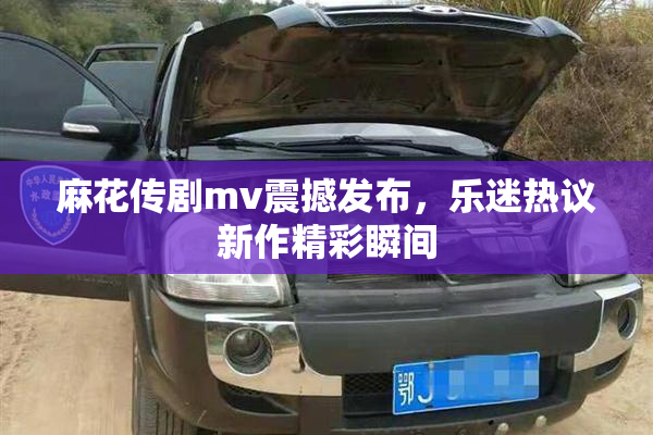 麻花传剧mv震撼发布，乐迷热议新作精彩瞬间