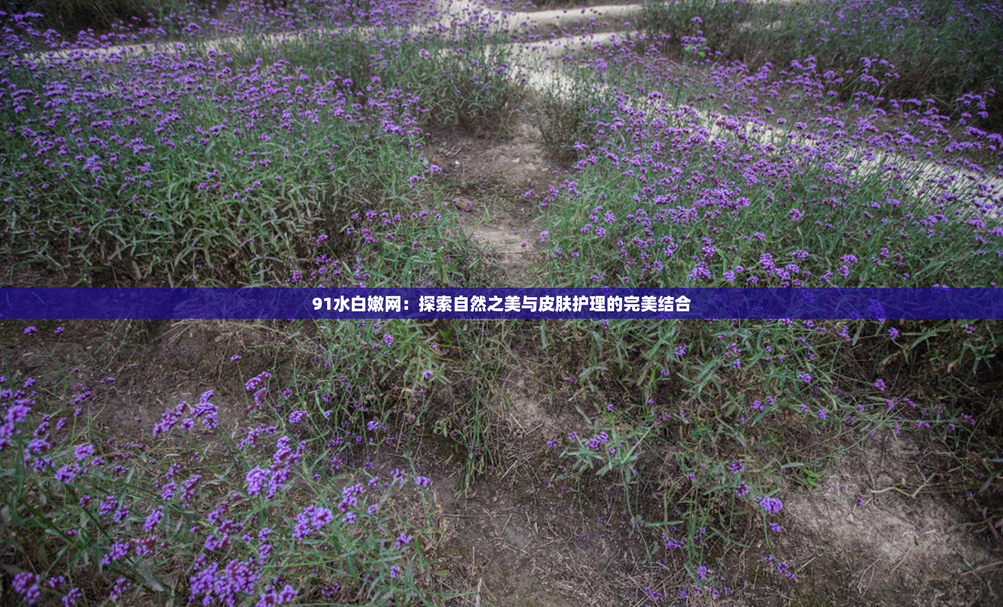 91水白嫩网：探索自然之美与皮肤护理的完美结合