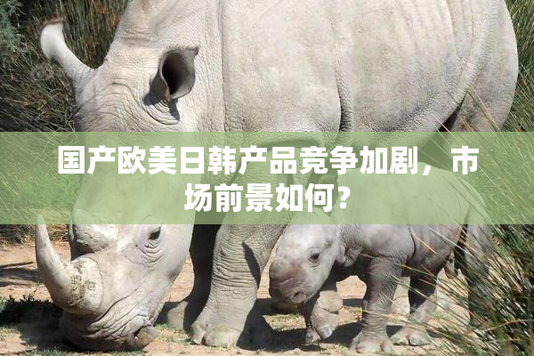 国产欧美日韩产品竞争加剧，市场前景如何？