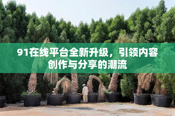 91在线平台全新升级，引领内容创作与分享的潮流