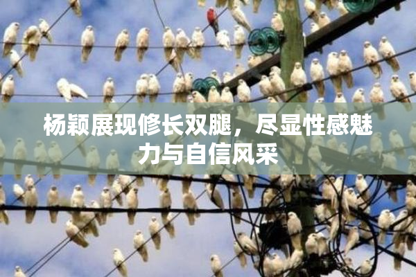 杨颖展现修长双腿，尽显性感魅力与自信风采