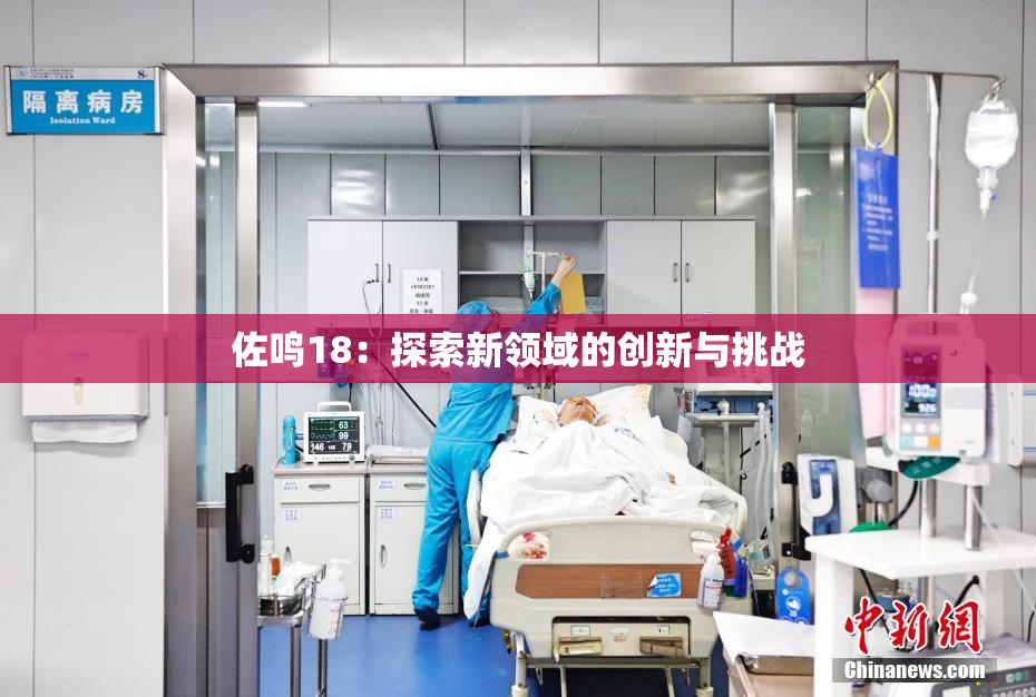 佐鸣18：探索新领域的创新与挑战