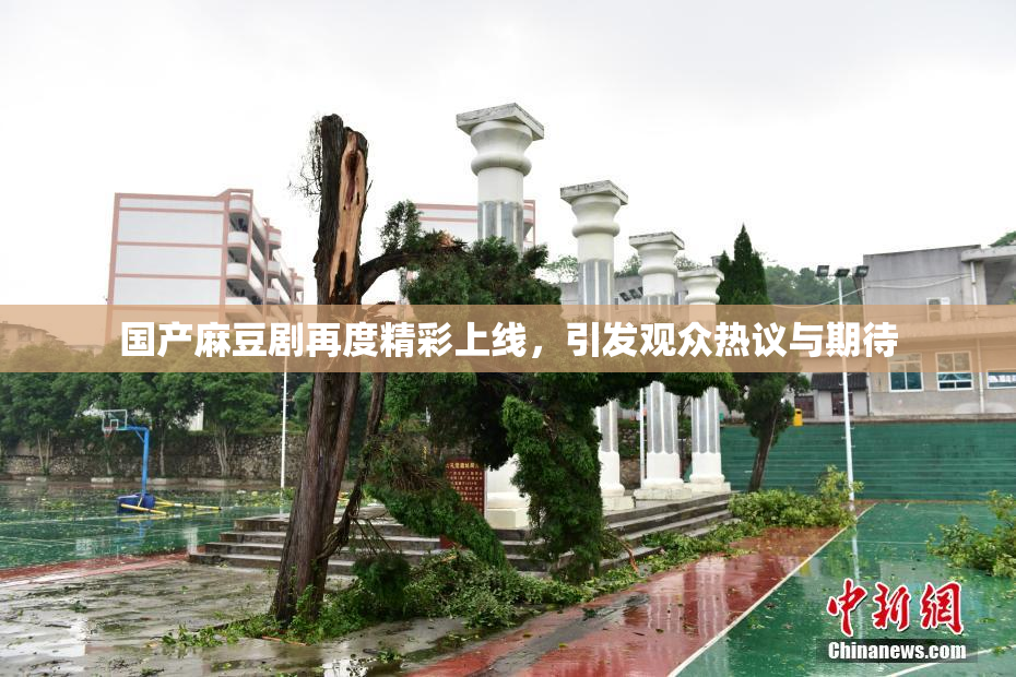 国产麻豆剧再度精彩上线，引发观众热议与期待