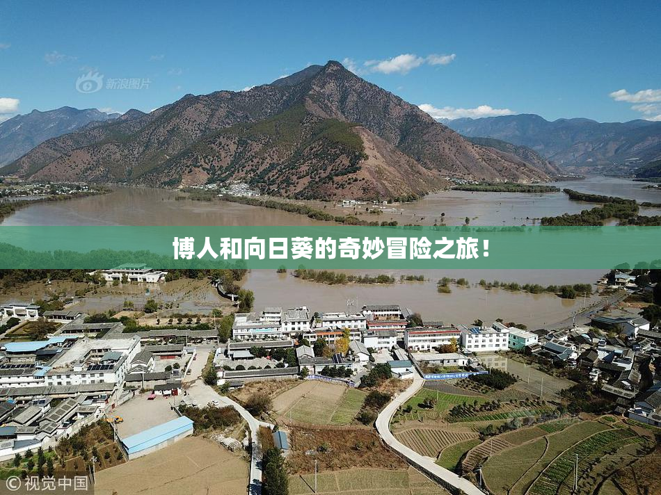 博人和向日葵的奇妙冒险之旅！
