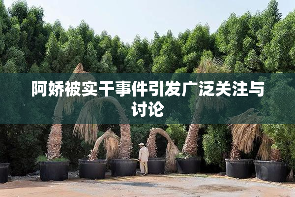 阿娇被实干事件引发广泛关注与讨论