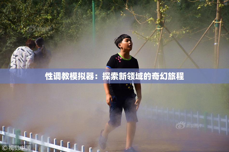性调教模拟器：探索新领域的奇幻旅程