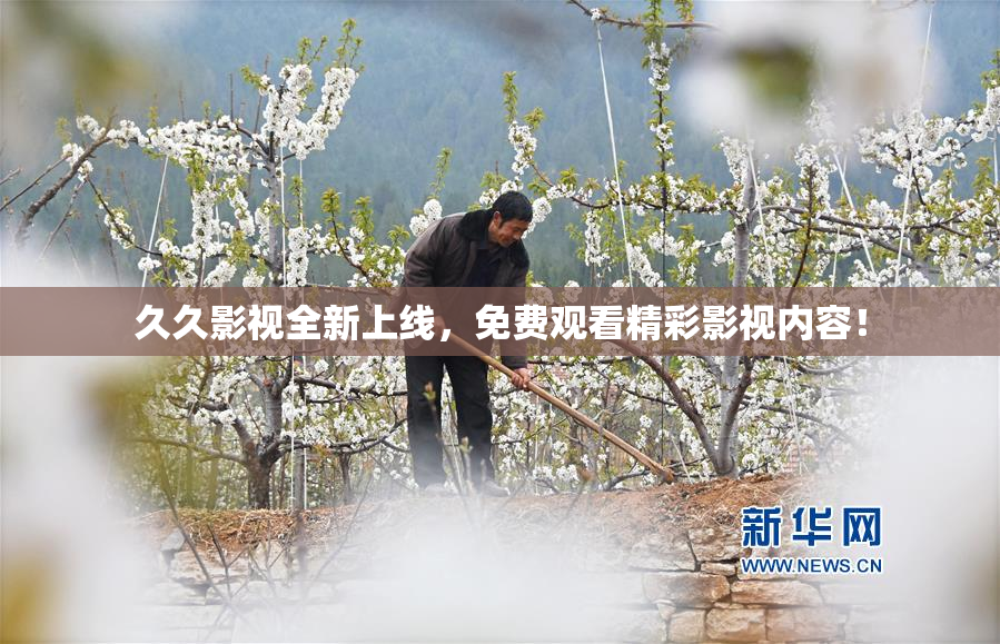 久久影视全新上线，免费观看精彩影视内容！