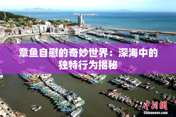 章鱼自慰的奇妙世界：深海中的独特行为揭秘