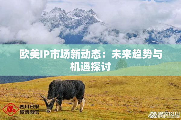 欧美IP市场新动态：未来趋势与机遇探讨