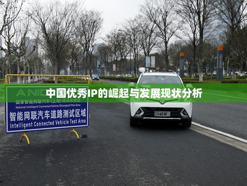 中国优秀IP的崛起与发展现状分析