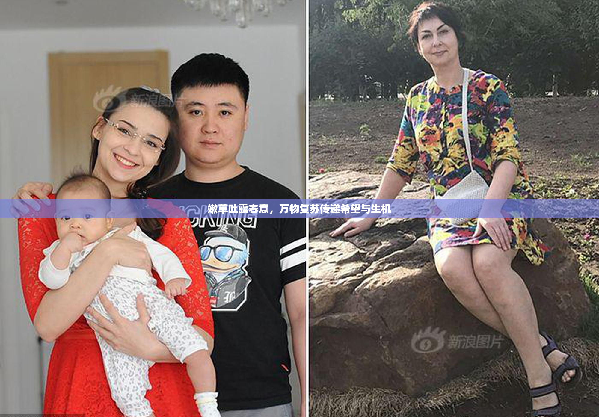 嫩草吐露春意，万物复苏传递希望与生机