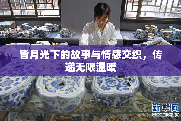 皆月光下的故事与情感交织，传递无限温暖