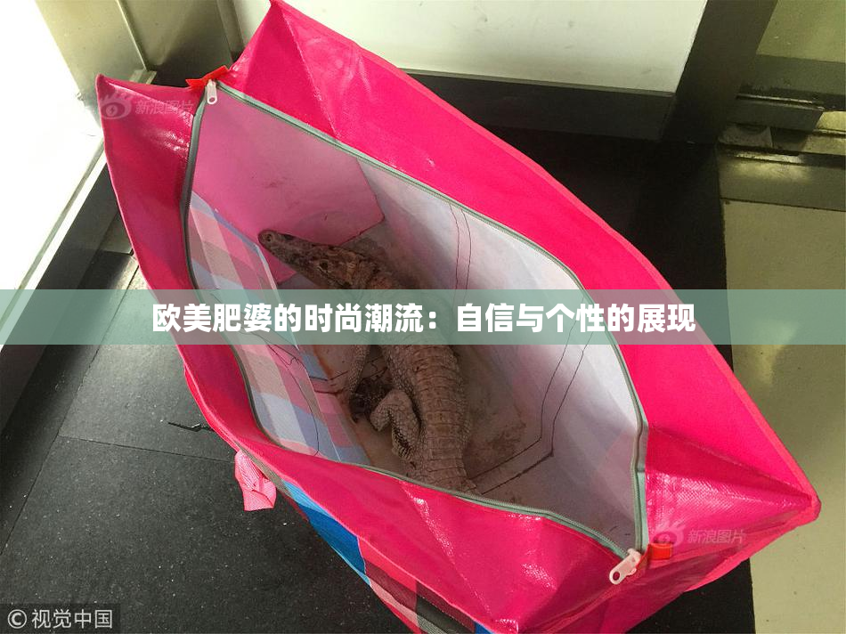 欧美肥婆的时尚潮流：自信与个性的展现