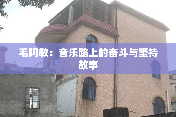 毛阿敏：音乐路上的奋斗与坚持故事