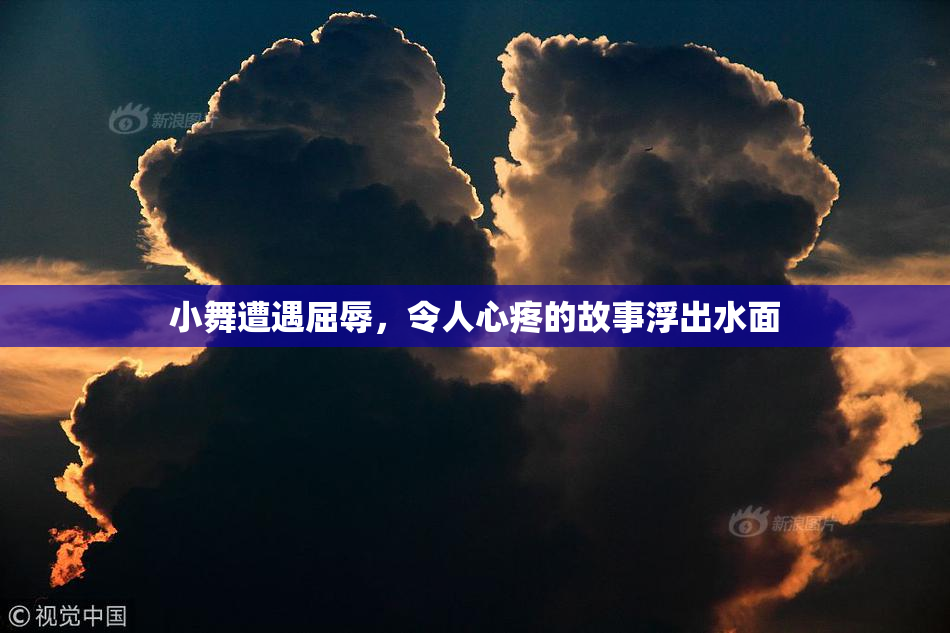 小舞遭遇屈辱，令人心疼的故事浮出水面