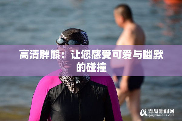 高清胖熊：让您感受可爱与幽默的碰撞