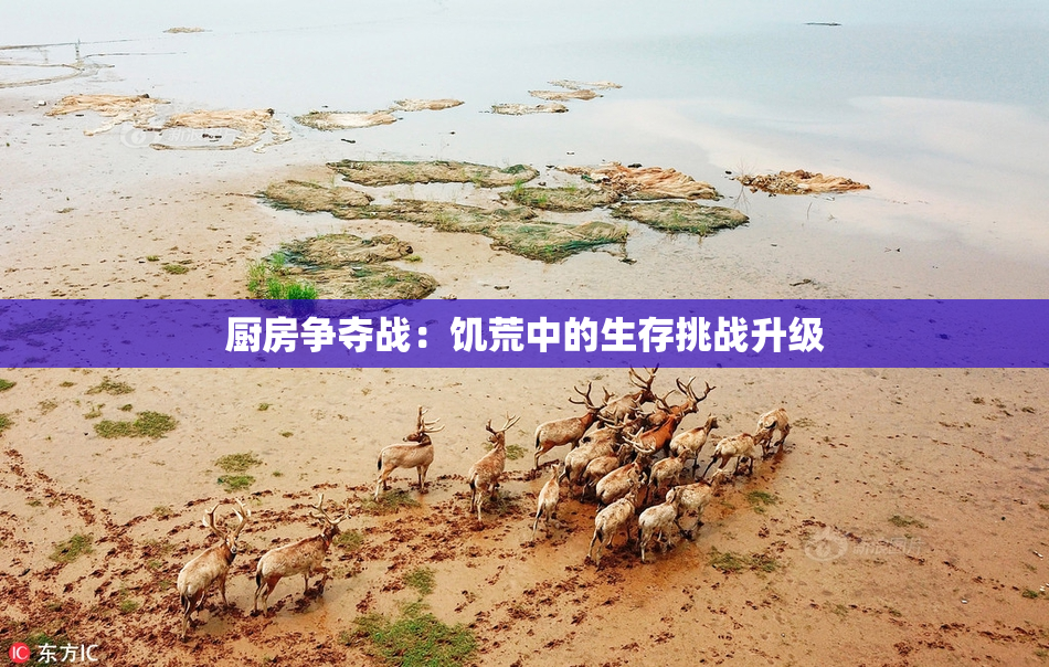 厨房争夺战：饥荒中的生存挑战升级