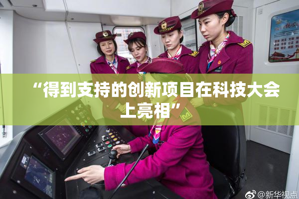 “得到支持的创新项目在科技大会上亮相”