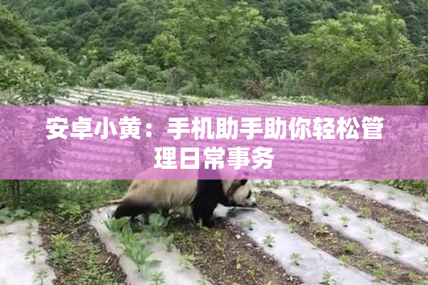 安卓小黄：手机助手助你轻松管理日常事务