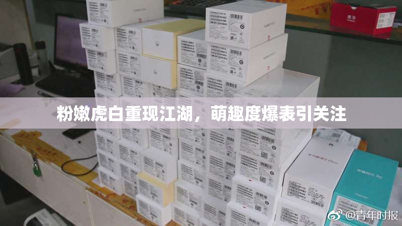 粉嫩虎白重现江湖，萌趣度爆表引关注