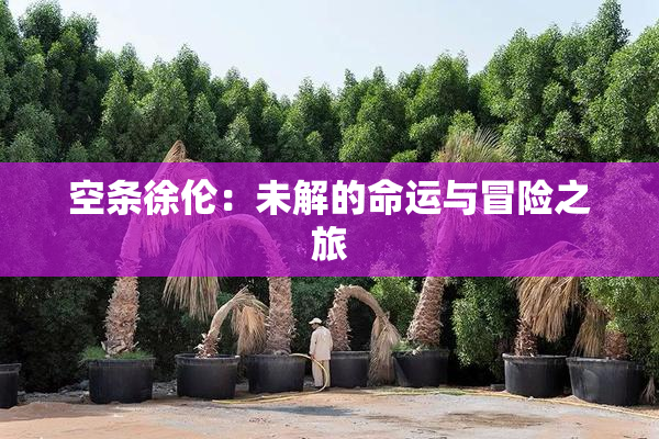 空条徐伦：未解的命运与冒险之旅