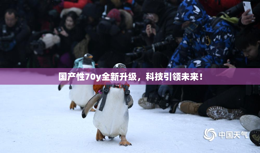 国产性70y全新升级，科技引领未来！